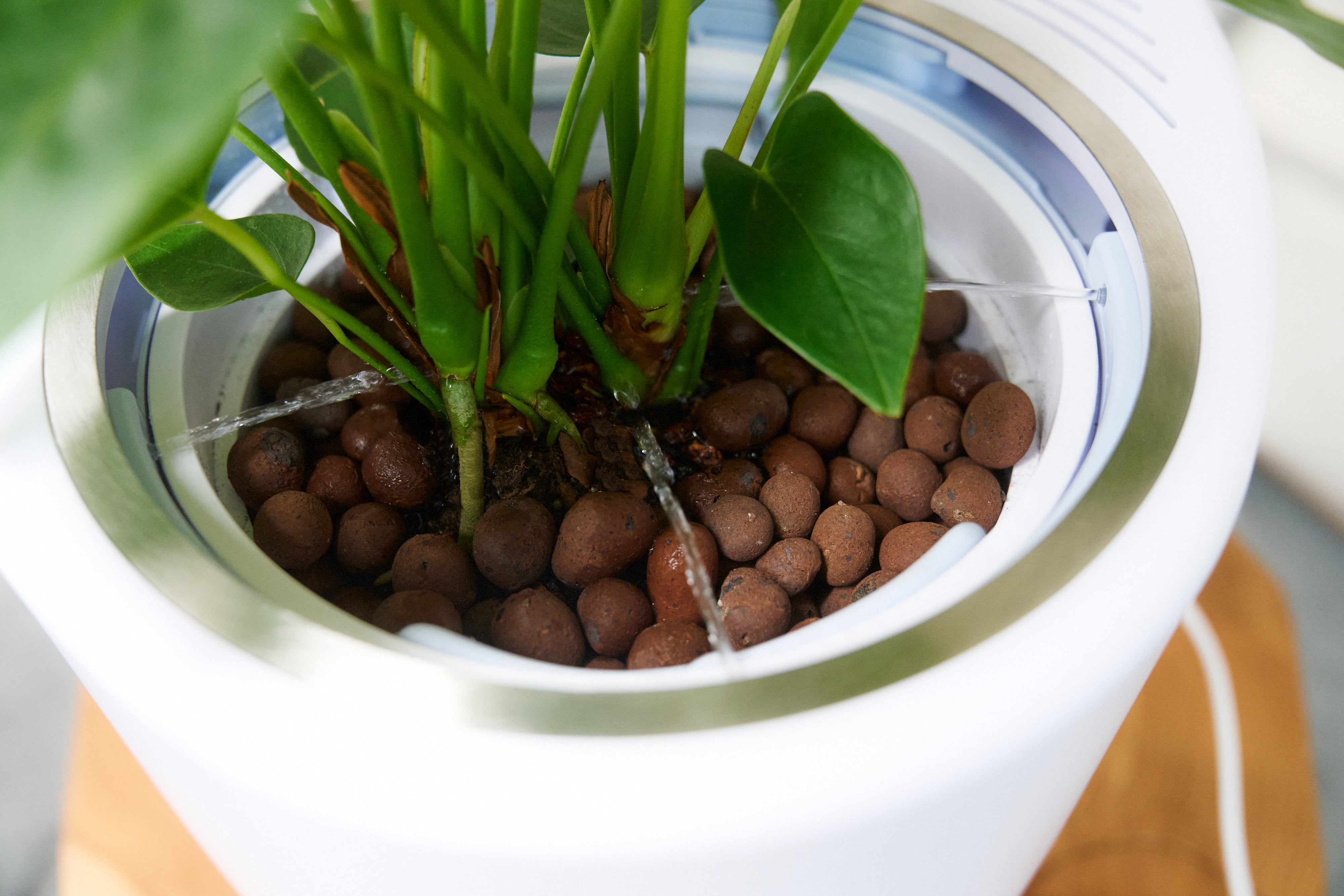 Verta Nature Inspired Air Purifier Self watering Planter