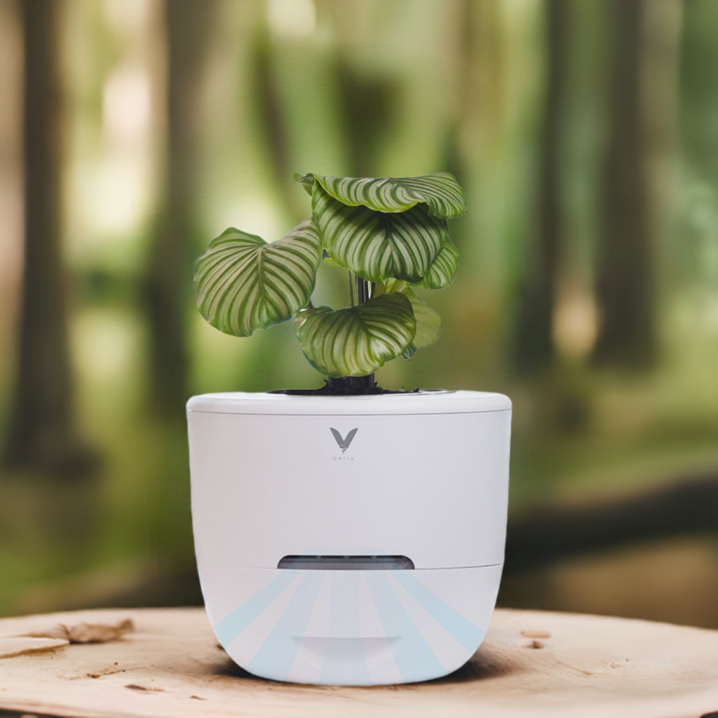 Verta®: Nature Inspired Air Purifier &amp; Smart Self-Watering Planter